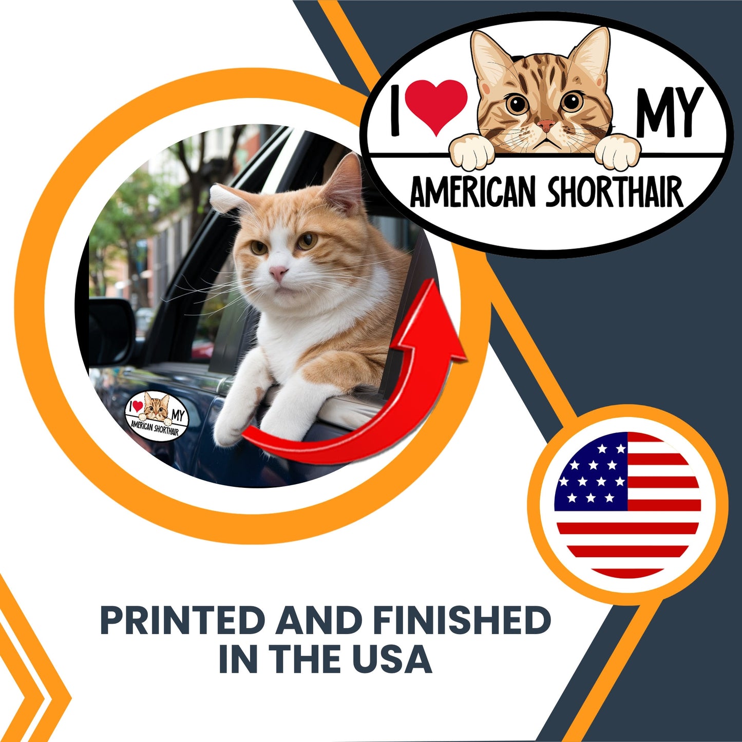 Magnet Me Up I Love My American Shorthair Cat Breed Car Magnet Decal, 4x6 Inches, Cute Peeking Cat Design Bumper Magnet, Adorable Cat Breed