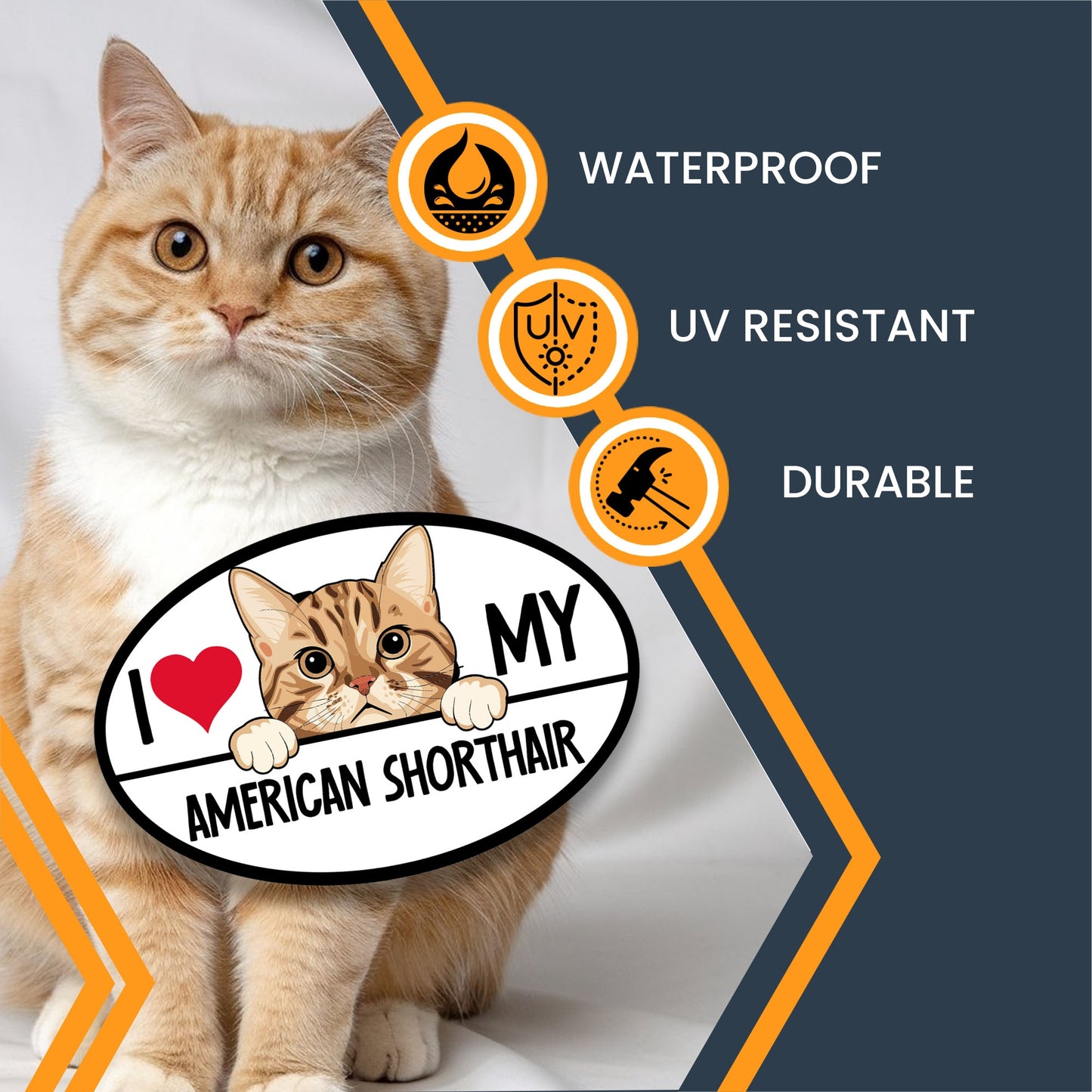 Magnet Me Up I Love My American Shorthair Cat Breed Car Magnet Decal, 4x6 Inches, Cute Peeking Cat Design Bumper Magnet, Adorable Cat Breed