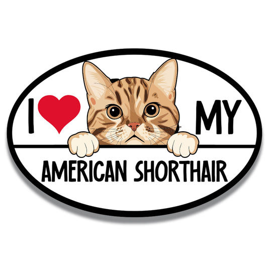 Magnet Me Up I Love My American Shorthair Cat Breed Car Magnet Decal, 4x6 Inches, Cute Peeking Cat Design Bumper Magnet, Adorable Cat Breed