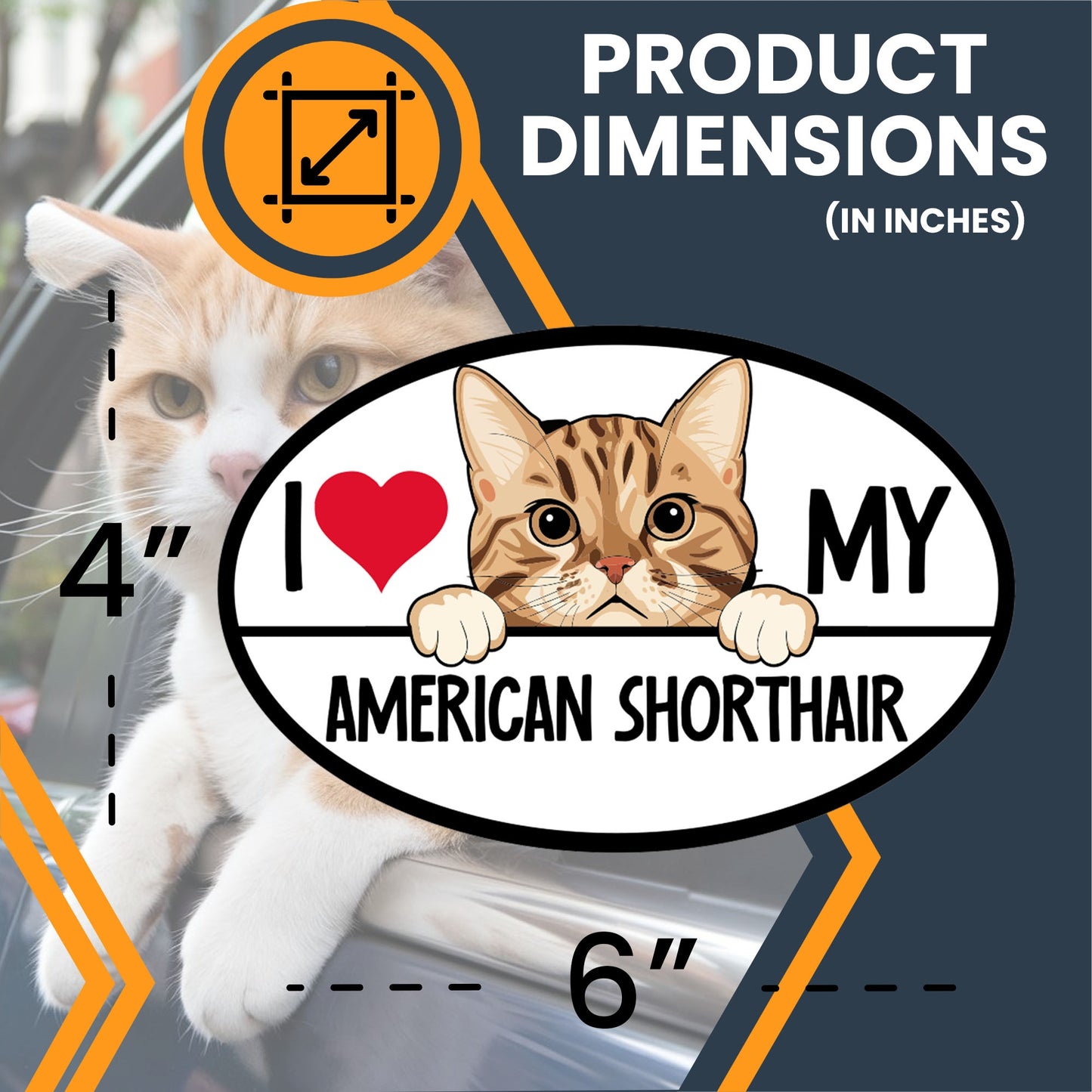 Magnet Me Up I Love My American Shorthair Cat Breed Car Magnet Decal, 4x6 Inches, Cute Peeking Cat Design Bumper Magnet, Adorable Cat Breed