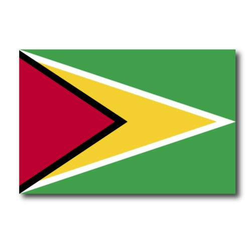 Guyana Flag Car Magnet Decal - 4 x 6 Heavy Duty for Car Truck SUV …