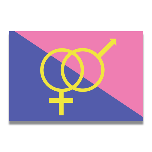 Magnet Me Up Straight Pride Flag Car Magnet Decal, 4x6 Inches, Pink Blue and Yellow, Heavy Duty Automotive Magnet for Car Truck SUV