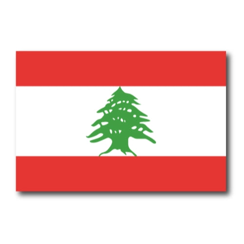Lebanon Lebanese Flag Car Magnet Decal - 4 x 6 Heavy Duty for Car Truck SUV …