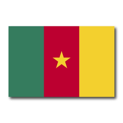 Cameroon Flag Car Magnet Decal - 4 x 6 Heavy Duty for Car Truck SUV …