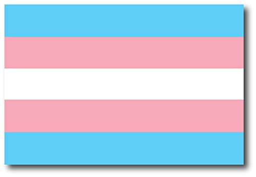 Magnet Me Up Transgender Pride Rainbow Flag Car Magnet Decal, 4x6 Inches, Heavy Duty for Car Truck SUV, in Support of LGBTQ